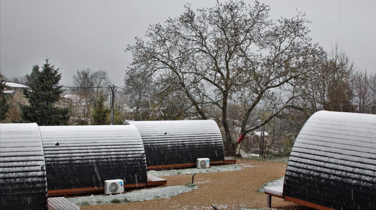 מלון Santa Comba de Rossas Glamping Hills מראה חיצוני תמונה